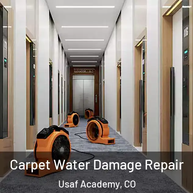  Carpet Water Damage Repair Usaf Academy, CO