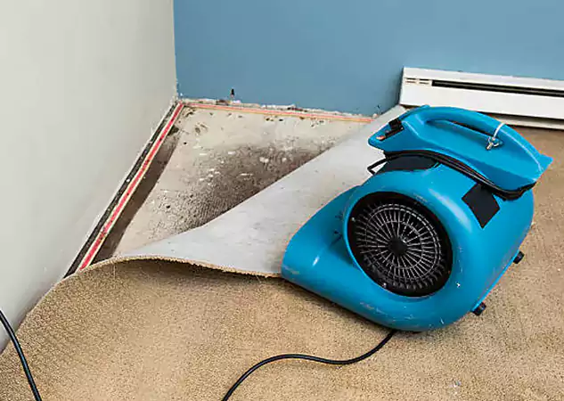 Your Water Damage Experts in Usaf Academy, CO
