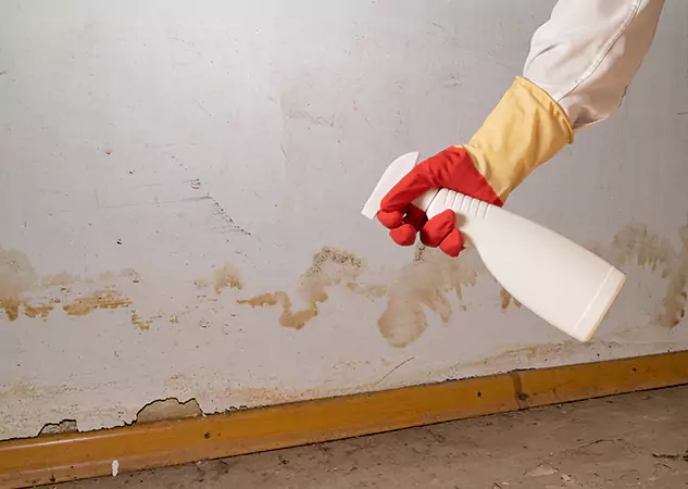 Your Water Restoration and Mold Remediation Specialists in Usaf Academy, CO