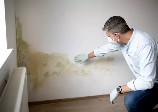 Reach Our Remediation Team Before Damage Grows in Usaf Academy, CO!