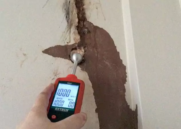 Your Water Damage Assessment Partner in Usaf Academy, CO