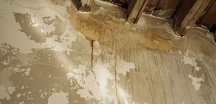 Professional Attic Water Damage Repair Services in Usaf Academy, CO
