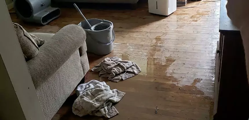 Professional Basement Water Remediation Services in Usaf Academy, CO
