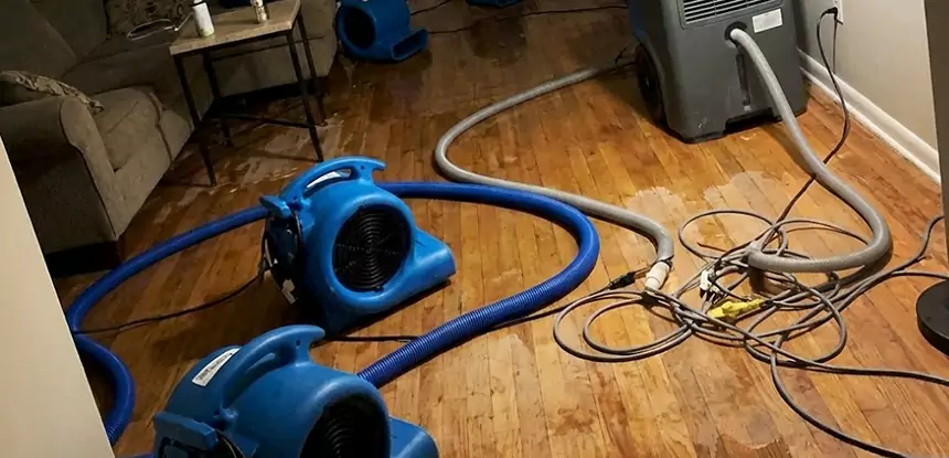 Basement Flood Restoration Services in Usaf Academy