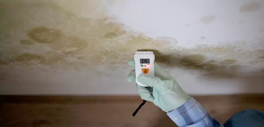 Emergency Mold Remediation in Usaf Academy