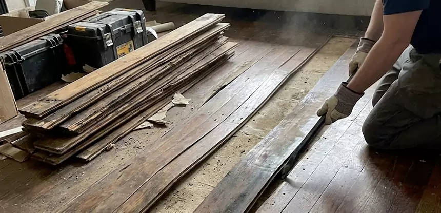Wood Rot and Fungus Repair in Usaf Academy
