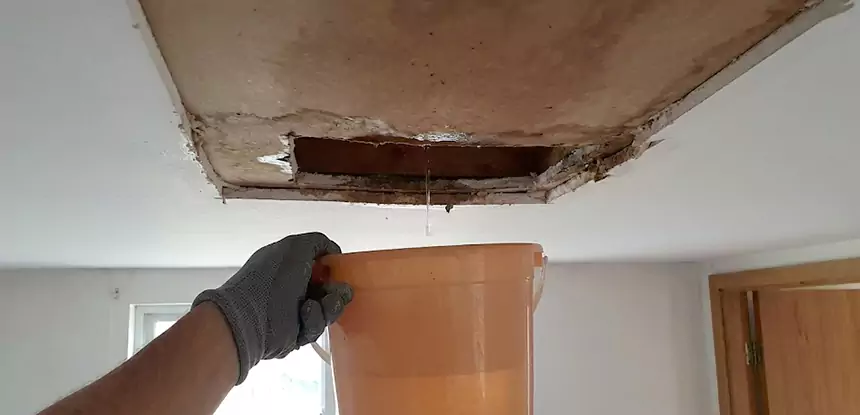 Ceiling Mold Repair Usaf Academy 