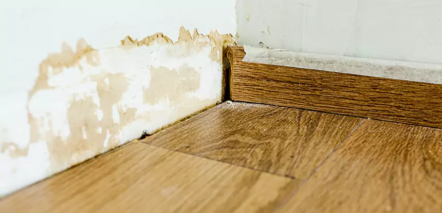 Professional Fix Water Damaged Wood Services in Usaf Academy, CO