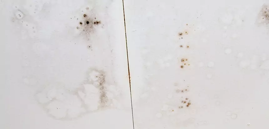 Professional Water Stain Repair Services in Usaf Academy, CO