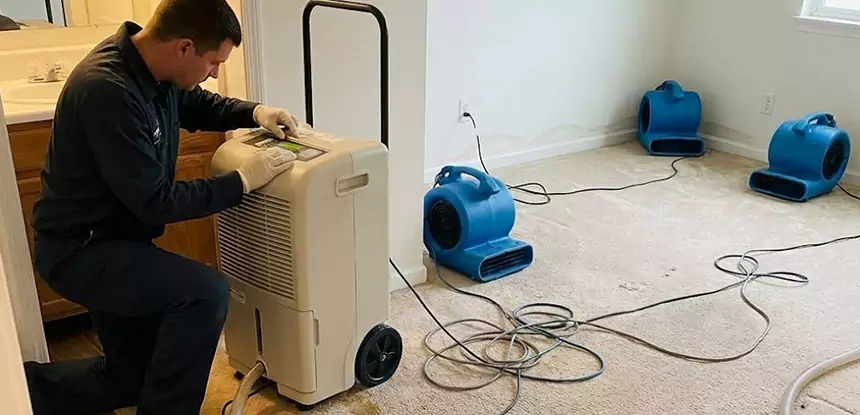 Professional Wet Carpet Removal Services in Usaf Academy, CO