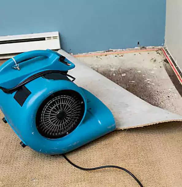 Why Usaf Academy Trusts USAF Academy Restoration Pro for Carpet Flood Recovery?