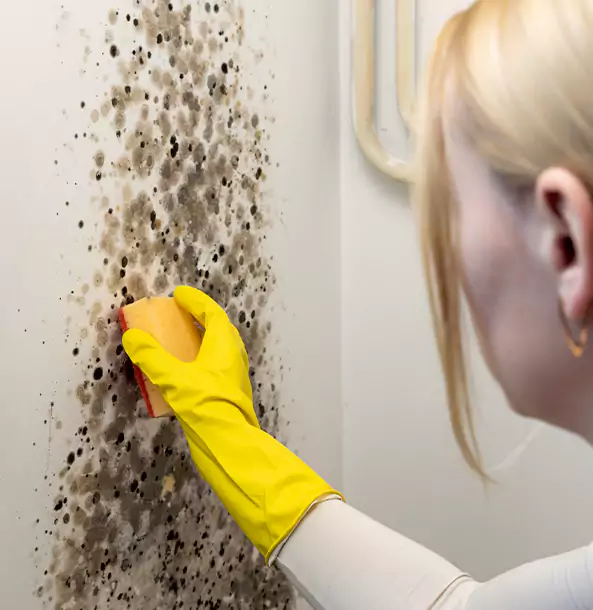 Why USAF Academy Restoration Pro Leads Mold Remediation in Usaf Academy?