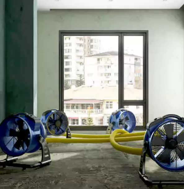 Why Usaf Academy Property Owners Trust USAF Academy Restoration Pro for Water Damage Drying?