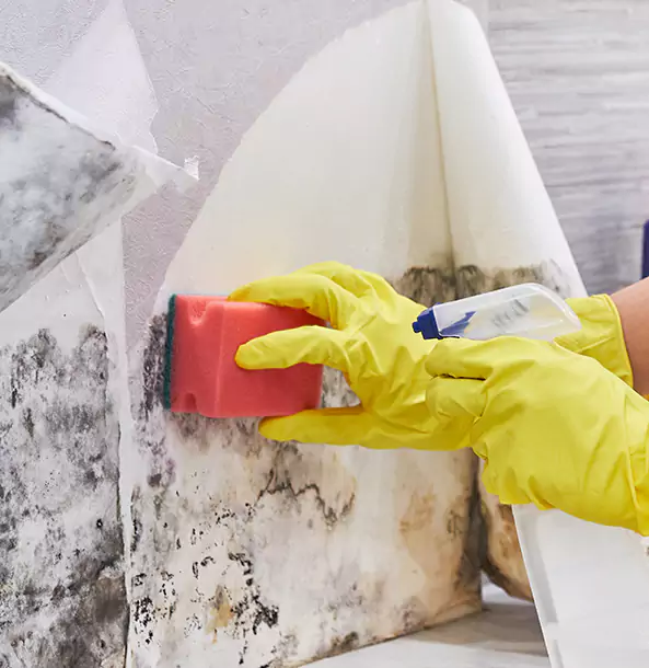Why Usaf Academy Trusts USAF Academy Restoration Pro for Mold and Water Restoration?
