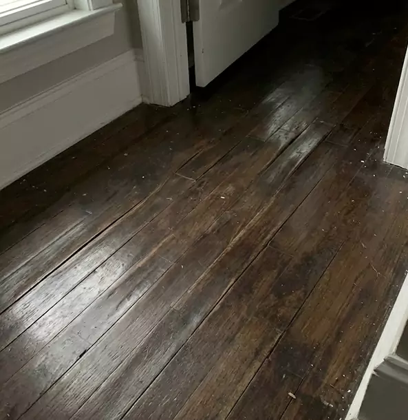 Why Usaf Academy Homeowners Trust USAF Academy Restoration Pro to Fix Water Damaged Wood?