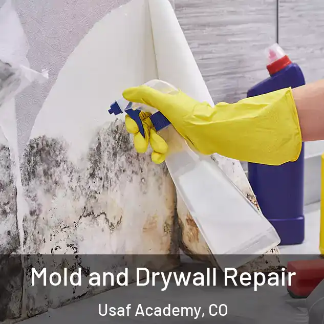 Mold and Drywall Repair Usaf Academy, CO
