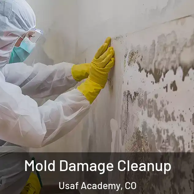  Mold Damage Cleanup Usaf Academy, CO