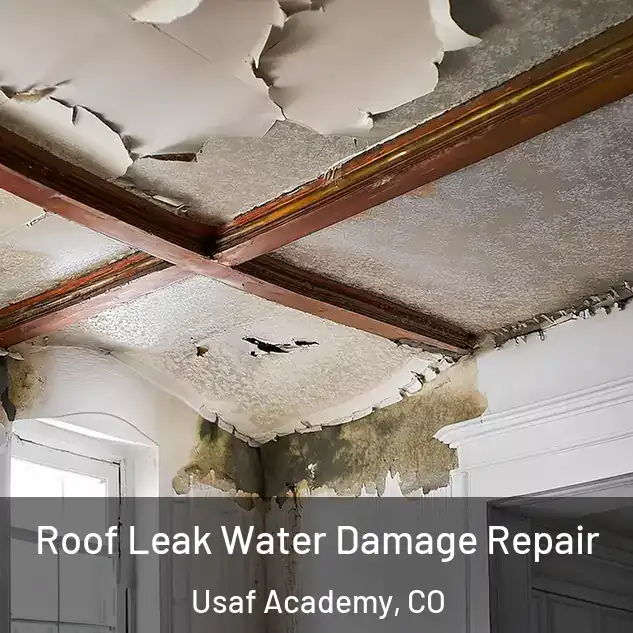  Roof Leak Water Damage Repair Usaf Academy, CO