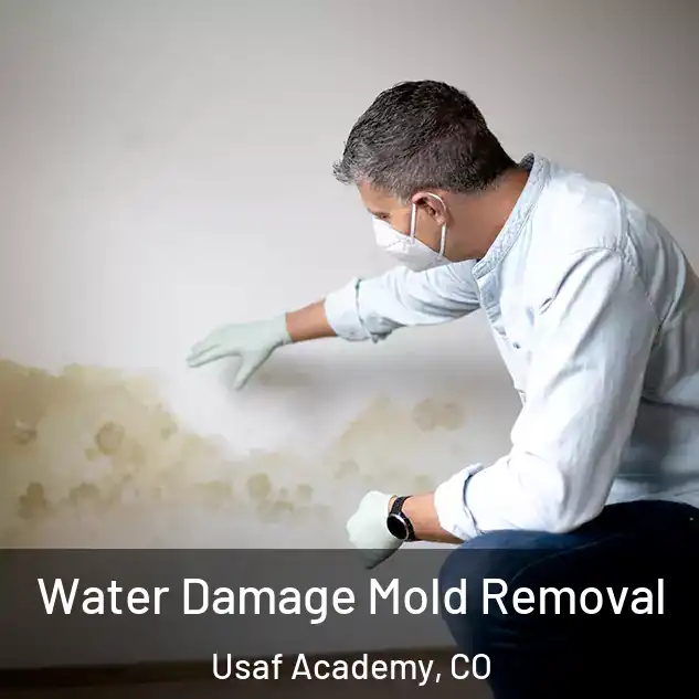  Water Damage Mold Removal Usaf Academy, CO