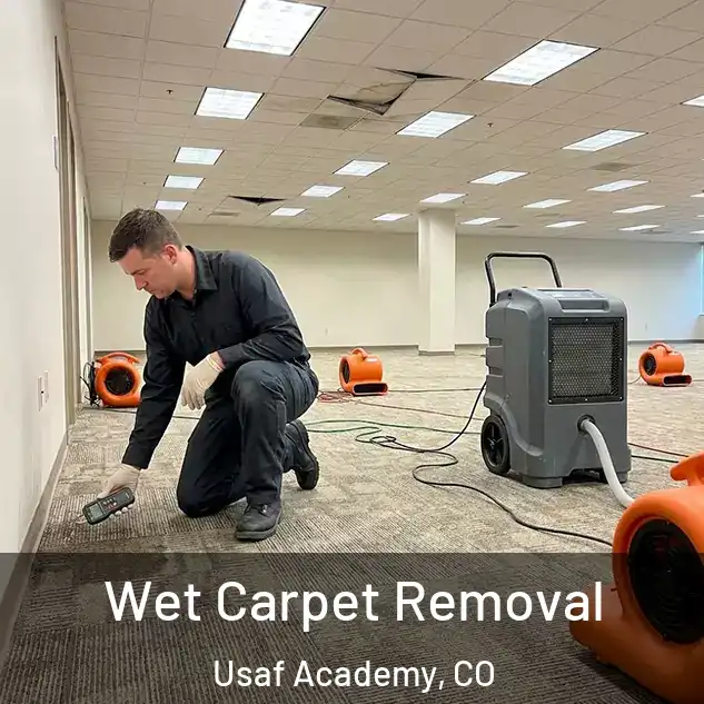 Wet Carpet Removal Usaf Academy, CO